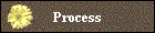 Process