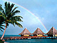 tropics.jpg (5003 bytes)